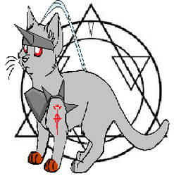 Alphonse Elric Cat