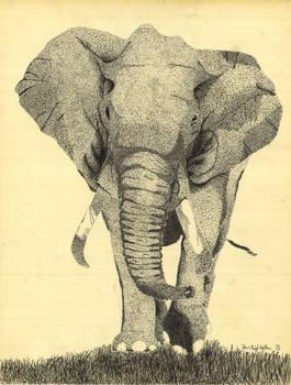 Elephant