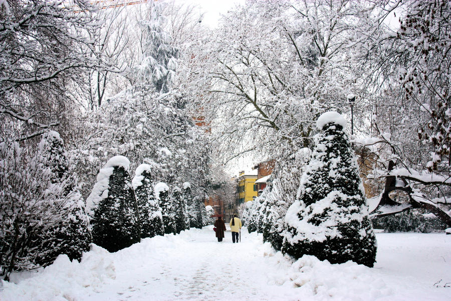 Together in the snow