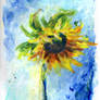 Finger Painting - Sunflower
