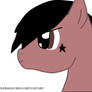 Jacoby Shaddix Pony