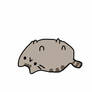 Pusheen