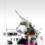 visuo+testgraphic