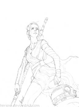 Rey Sketch