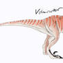 Velociraptor