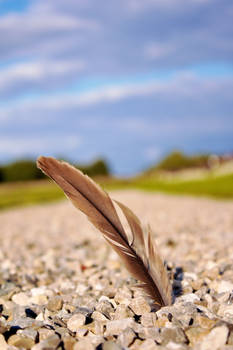 Like a feather in the wind