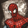 Spiderman ACEO 072011