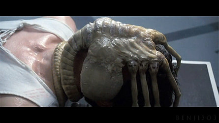 Face Hugger - Alien