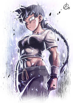 Videl U9