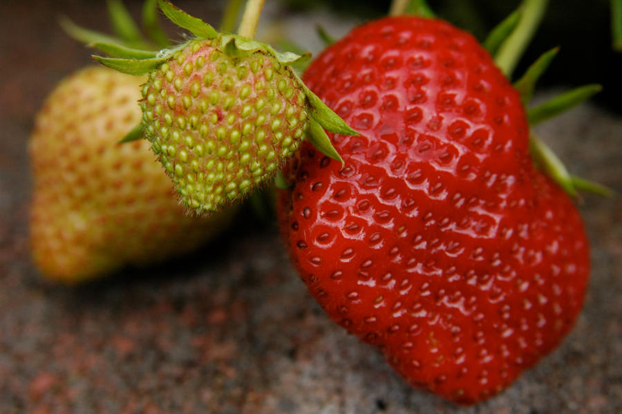 Strawberry