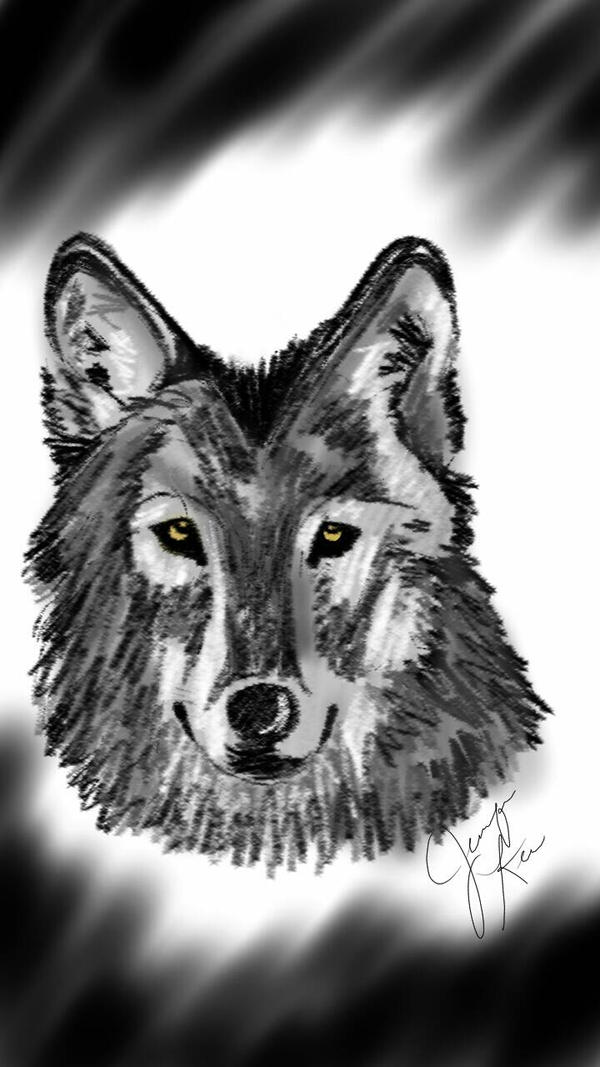 Wolf By Jenniferk4 On DeviantArt