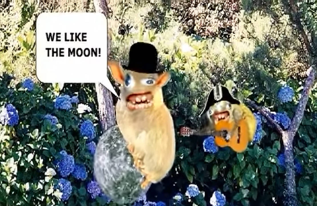 Sponge Moon Spongmonkeys We Like The Moon by Elkinsinboxinc on DeviantArt