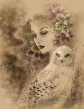 Winter Lullaby
