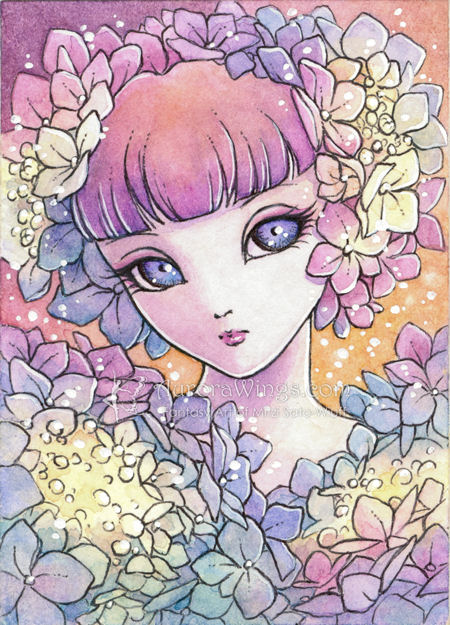 Hydrangea