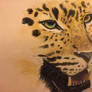 Jaguar WIP (Work in progress) 2