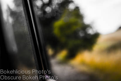 Bokeh Train ride