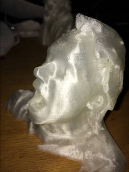 3d Printed Scan of Me 2