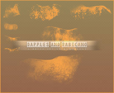 dapple and rabicano brushes