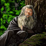 Gandalf