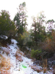 2013-01-13 Devil's Punchbowl (22)