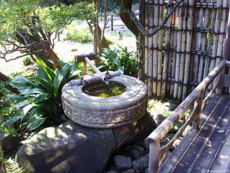 Japanese Well