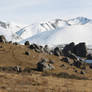 Castle Hill Panorama Winter