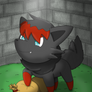 Zorua and his tools