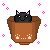 Cat in Cup