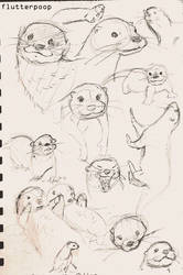 Otters