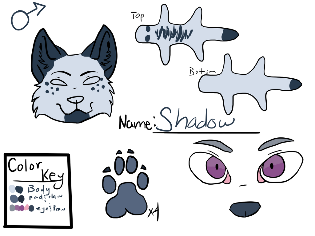 Shadow character sheet by Kanade42 on DeviantArt