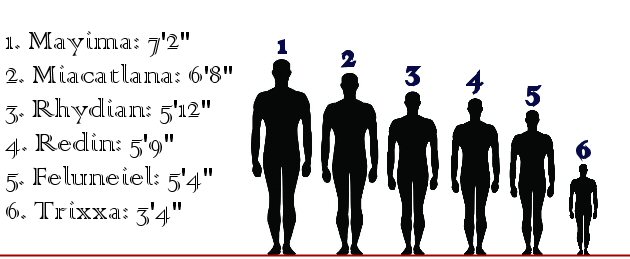 Height Comparison