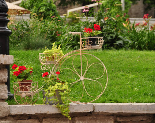 Flower Bike