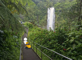 Wall-E and Eve at Akaka Hills State Park