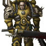 Skull bearers Space marine