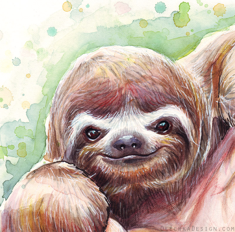 Sloth Watercolor Detail