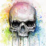 Skull Watercolor Painting