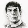 Spock Portrait Star Trek Fan Art