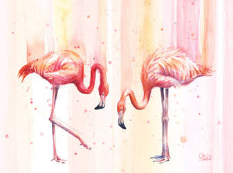 Two Flamingos Watercolor