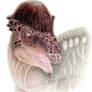 Pachycephalosaurus bust