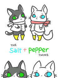 The SALT and PEPPER Twins