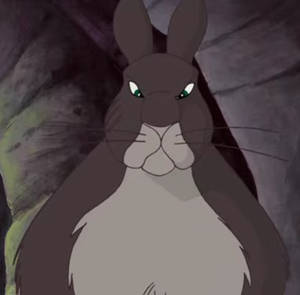 Unamed Rabbit Explore the Best Efrafa Art | DeviantArt