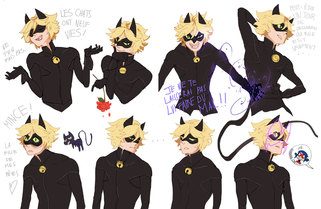 Chatnoir Expressions By Gardenofspice On Deviantart Chatnoir Expressions By Gardenofspice On Deviantart