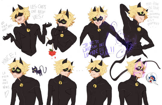 chatnoir expressions