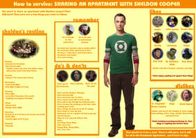 Sharing An Apartment With Sheldon Cooper.2