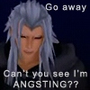 Xemnas