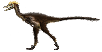 Troodon