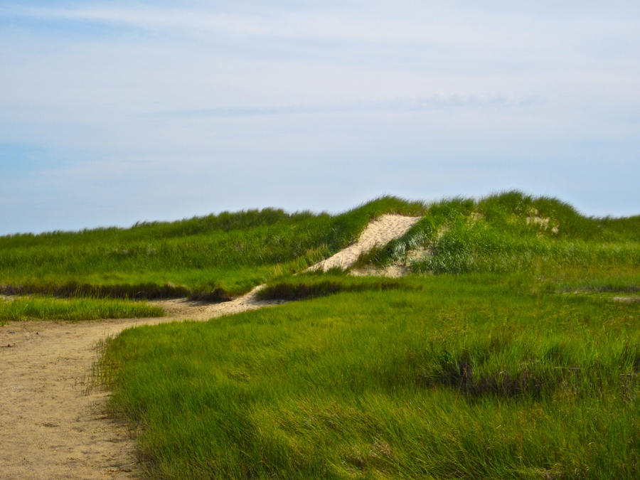 Sandy Path by CraziAlchemist on DeviantArt