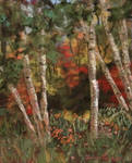 Let Them Talk (Grafton Notch State Park, Maine) by ltuininga