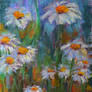 Daisy Do (Sold)