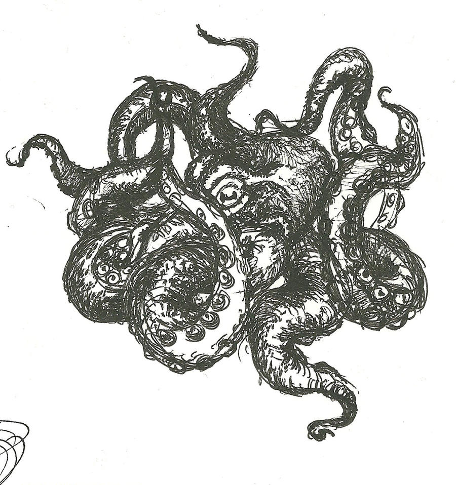 Octopus